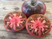 Black Krim  Purple Tomato