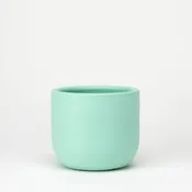 4" House Plant Cache Pot - Generosa