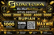 SYDNEYCUAN: Solusi Hiburan Game Online Menarik dan Modern