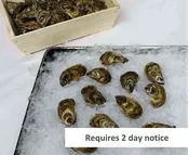 Beausoleil Oysters (1 dozen)