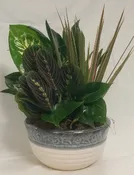 DISH GARDEN