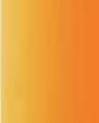 Candy Golden Yellow Lifetone Paint