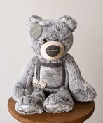 BEAR W/ PHOTO FRAME - GREY