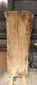 Pecan Live Edge Slab - 92" x 31"