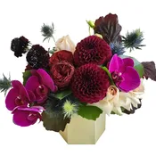 berry luxe