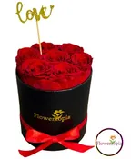 7 ROSAS ROJAS PRESERVADAS EN CAJA REDONDA