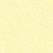 BFDFLUO20A - Neon Yellow