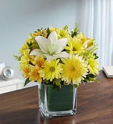 Healing Tears™ Yellow and White