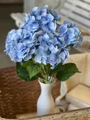 23" Encore Hydrangea Bush-Blue