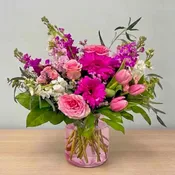 Ballard Blossom's Forever Fuchsia