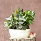 Lush garden planter