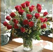 2 DOZEN RED ROSES