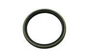 351W One Piece Rear Main Oil Seal