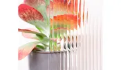 Decorative Plexiglass Cast Acrylic