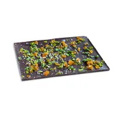 Dark Chocolate Bark
