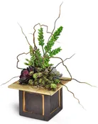 Modern Succulent Dish Garden