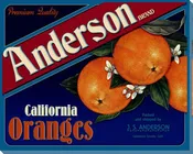 Anderson Oranges Wrapped Canvas Giclee Print Wall Art