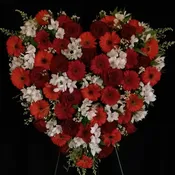 ELEGANT HEART