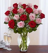 Pink and Red Roses Two Dozen