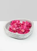 10.5in Wide Byzantine Aged White Shallow Ceramic Bowl