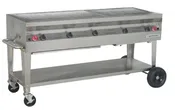 BBQ Propane Grill (2X5) SS SilverGiant with propane