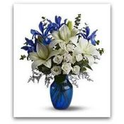 Blue and White Holiday