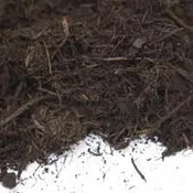 Shredded Hard Wood Mulch