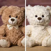 10" Friendly Face Bear Pair