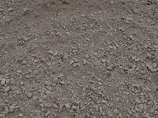 #411 LIMESTONE