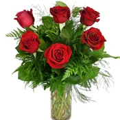 Half Dozen Red Roses