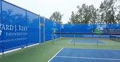 Pickleball Windscreen