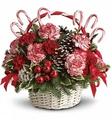 CANDY CANE CHRISTMAS