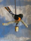 Baltimore Oriole
