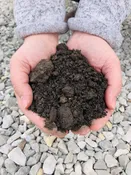 Garden Compost