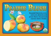 SUPREME. Organic Prairie Blush Certified Seed Potatoes