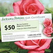 Jackson & Perkins Gift Certificate
