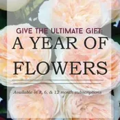 Flowers For A Year