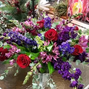 Array Of Purples