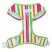 ARNES AJUSTABLE ARCOIRIS