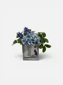 Grape Hyacinth in Mercury Glass