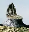 CUT STUMPS 14