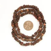 Seeds? Mostly Dark Brown, Very Irregular Surface, 3x5mm on 20-inch Strand
