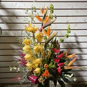 Exotic Arrangement #6
