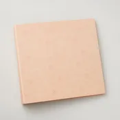 Missouri Star Peach Hexi Template Binder