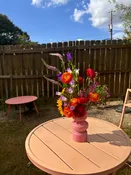 Starburst Pink Fresh Vase Arrangement — Nourish Botanica