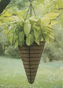 12 Inch Diameter Conical Hanging Basket/Liner Set
