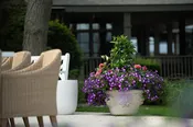 JWGreenhouses About