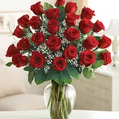 Breathtaking Beauty- 2 Dozen Roses