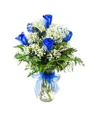 6 BLUE ROSES
