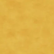 Amber Shadowplay